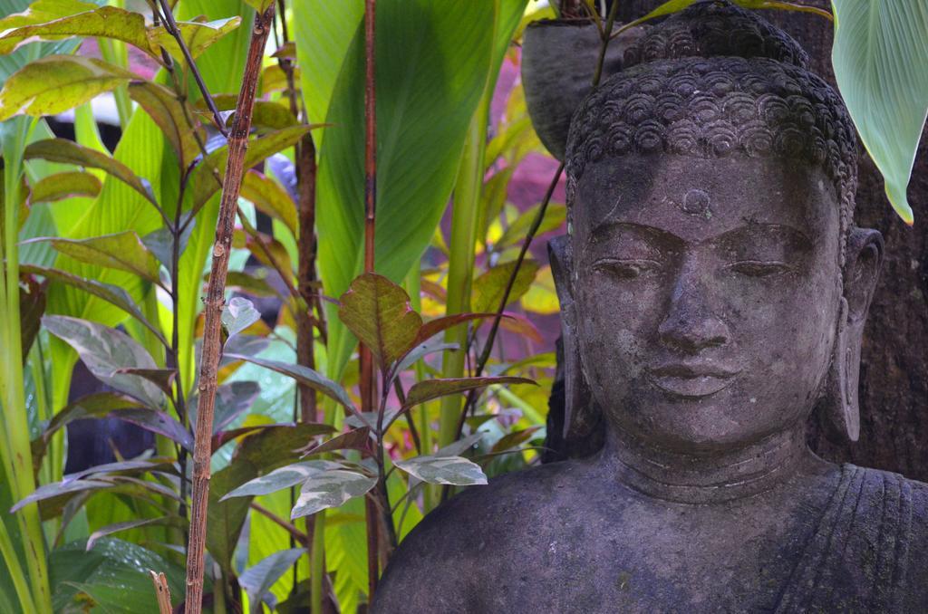 Indo Rumah Zengarden Pabean Buleleng Exterior foto