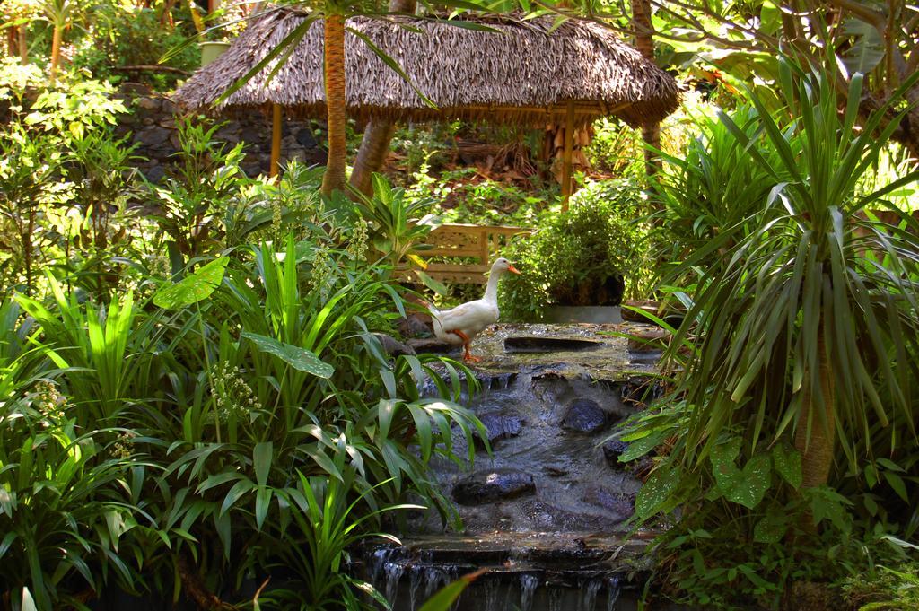 Indo Rumah Zengarden Pabean Buleleng Exterior foto
